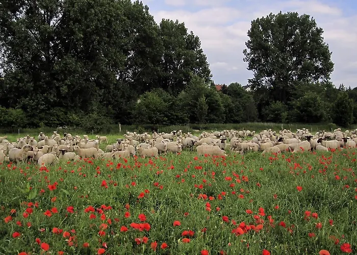 Apartamento Unica Im Lahntal